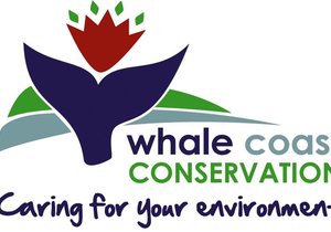 Caring for your environment